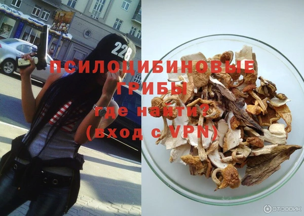 винт Богданович