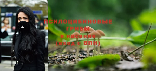 винт Богданович