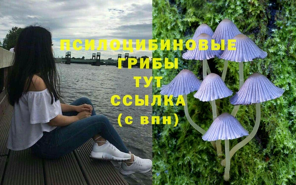 не бодяженный Приозерск