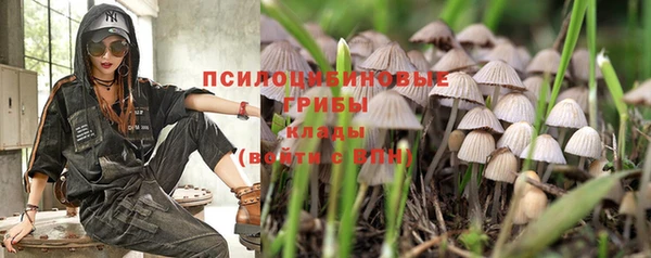 a pvp Протвино