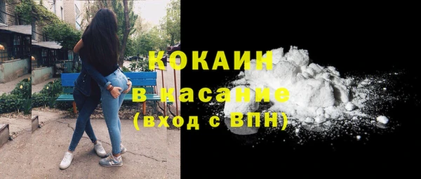 винт Богданович