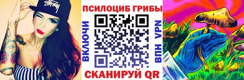 Галлюциногенные грибы мицелий  Зубцов 